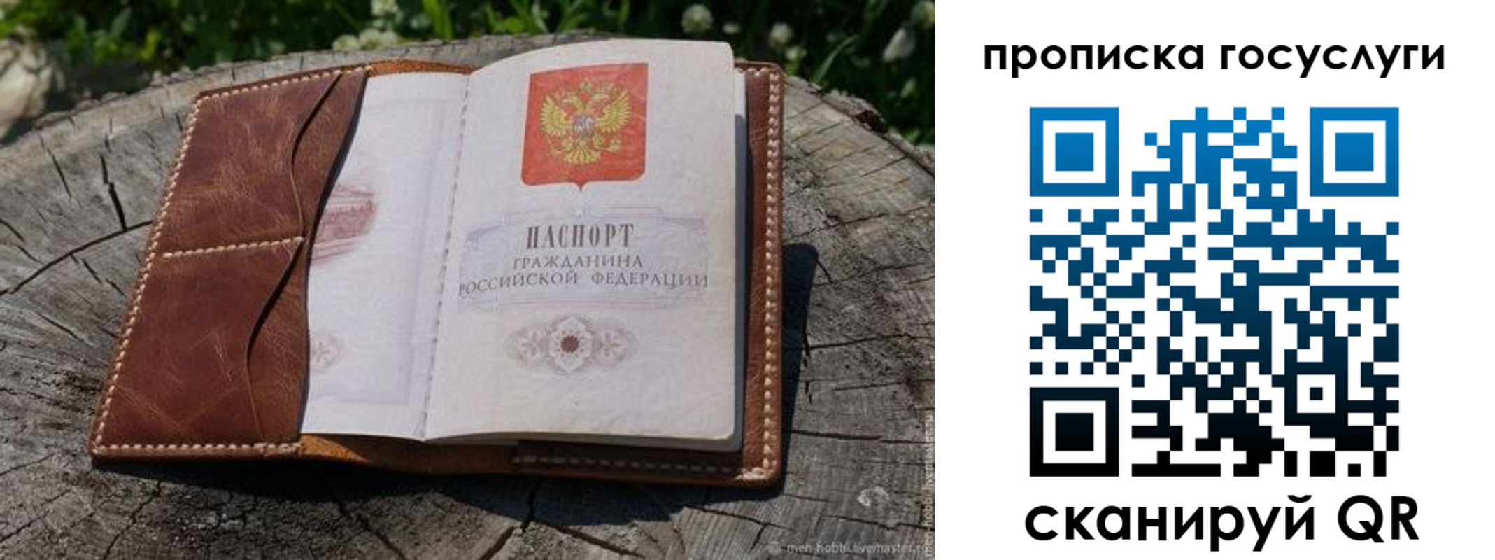 прописка для школы в Кольчугино